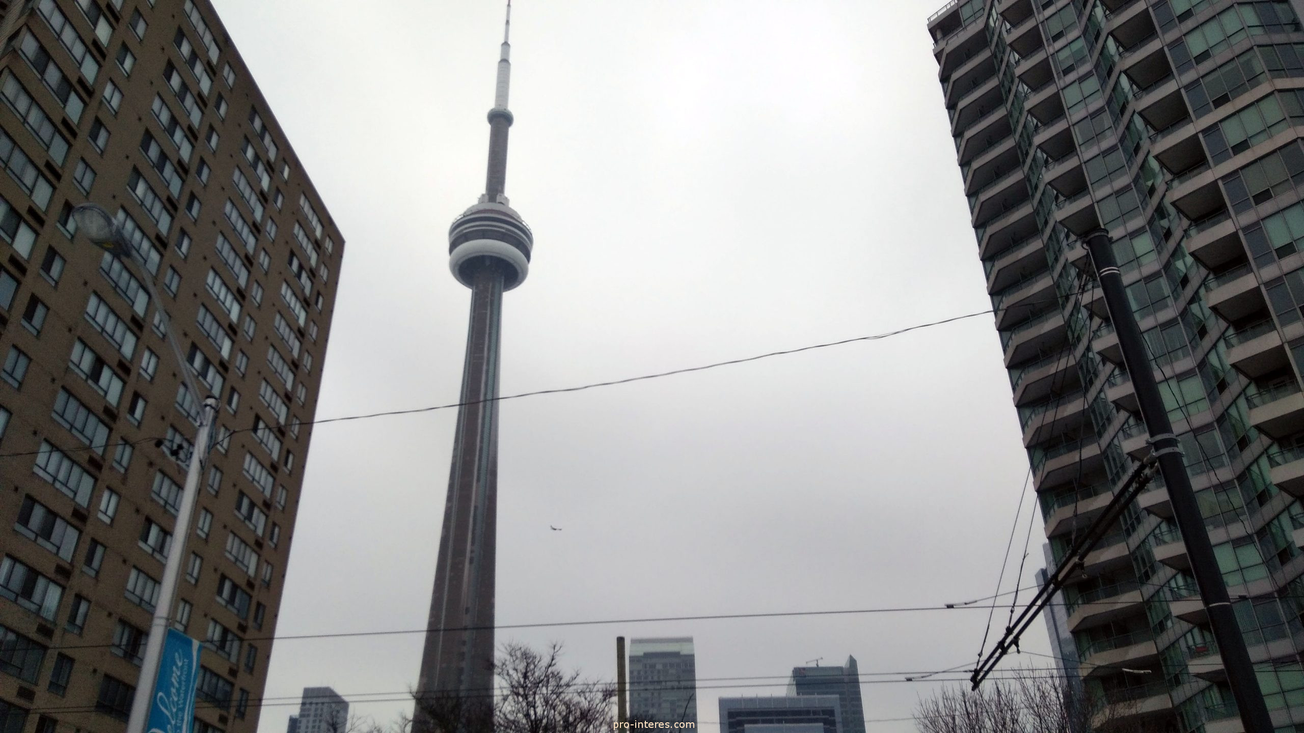 CN Tower